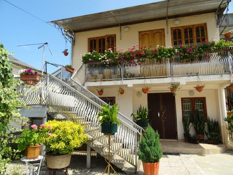 Guesthouse On Zheleznodorozhnaya Sukhumi Ngoại thất bức ảnh